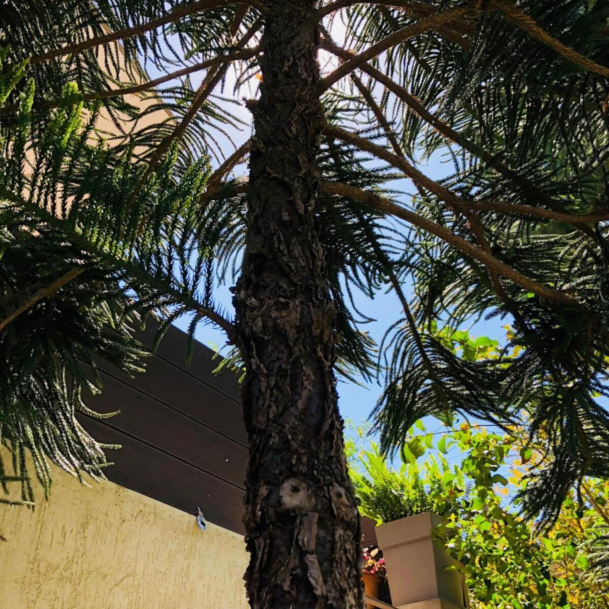 לגוניסי Azure House At Lagonissi מראה חיצוני תמונה