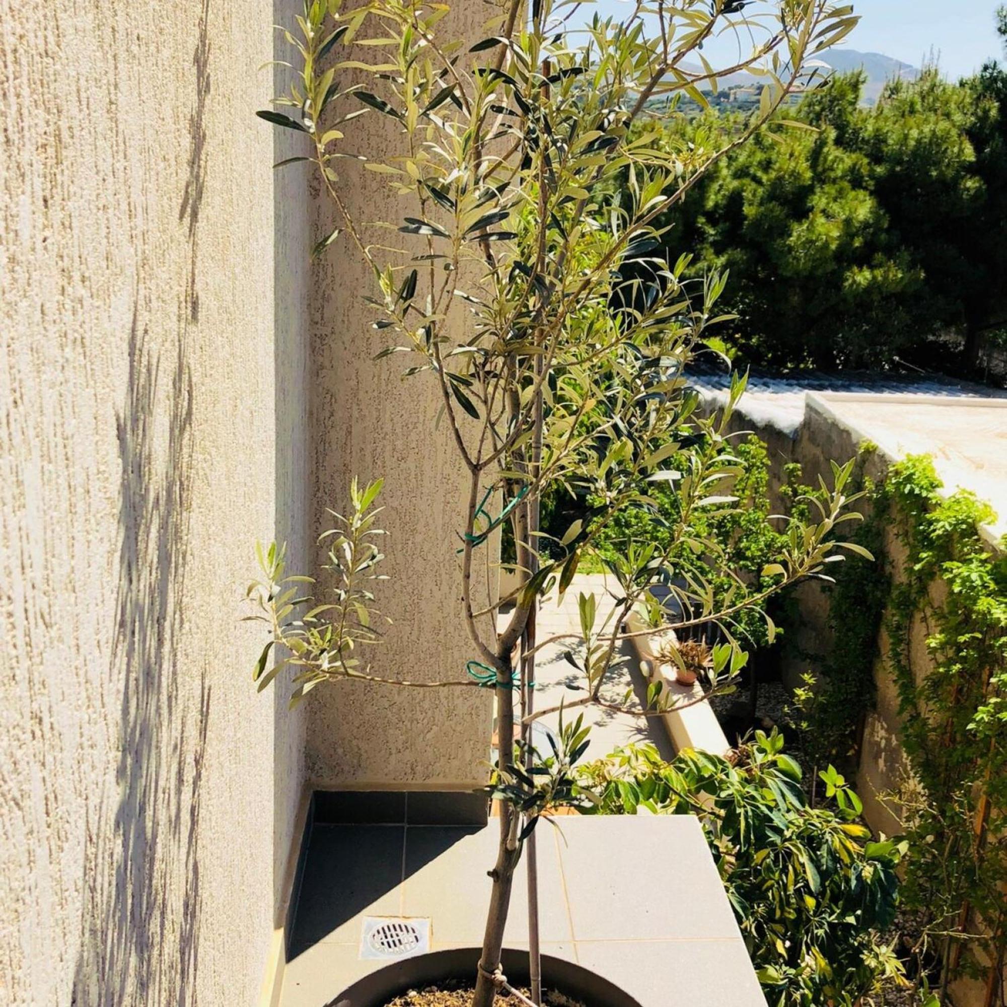 לגוניסי Azure House At Lagonissi מראה חיצוני תמונה