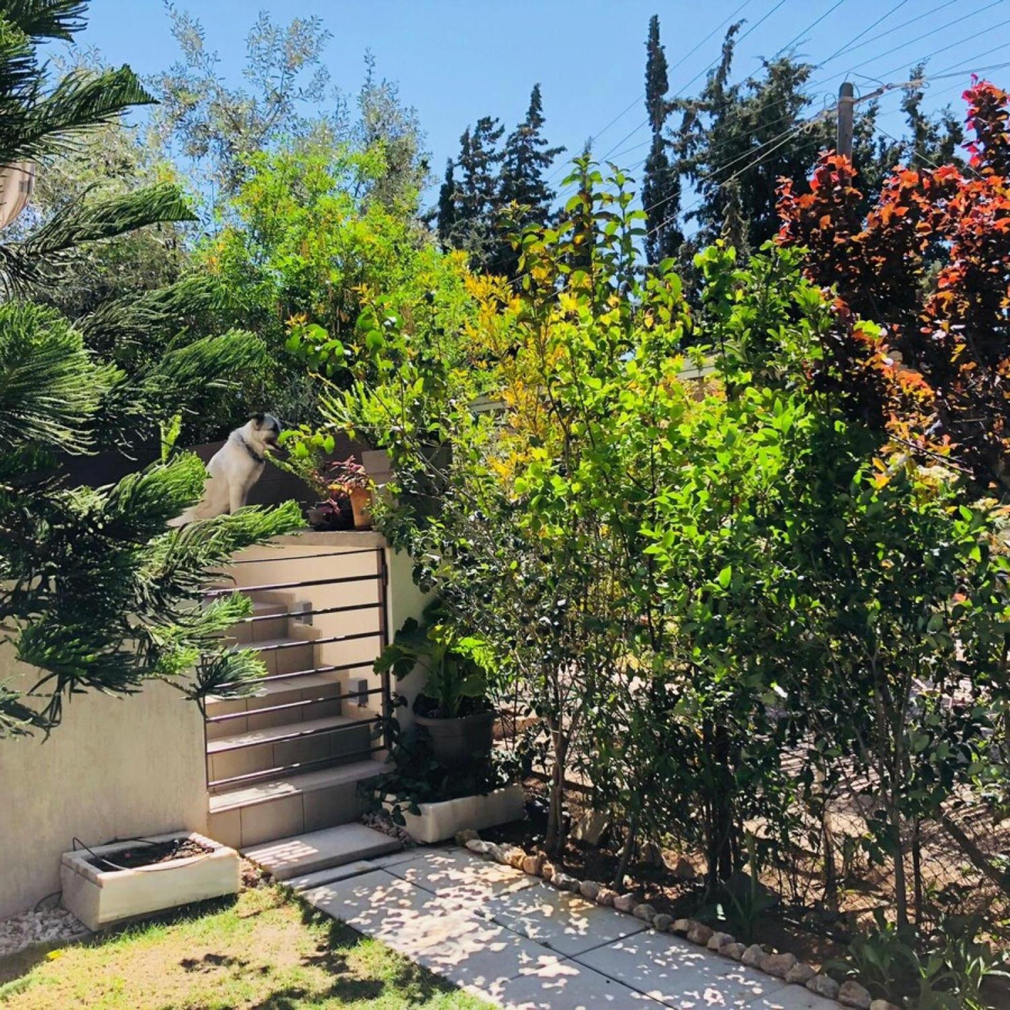 לגוניסי Azure House At Lagonissi מראה חיצוני תמונה